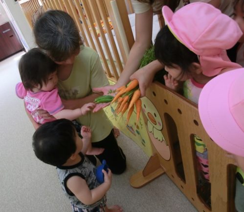 28.8分園写真③