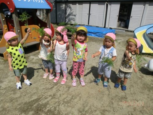 28.8分園写真①