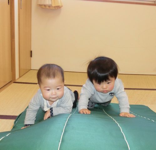 28.11りす写真②