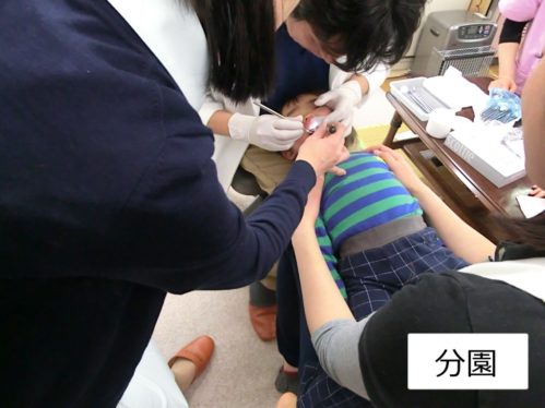 29.5歯科検診(分)③