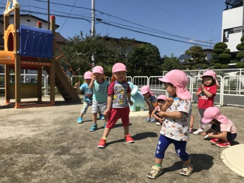 29.9こあら写真①