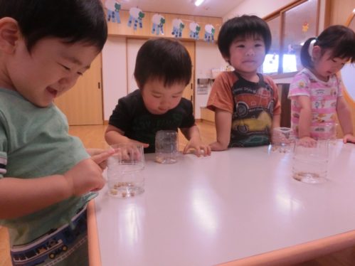 30.6こあら②