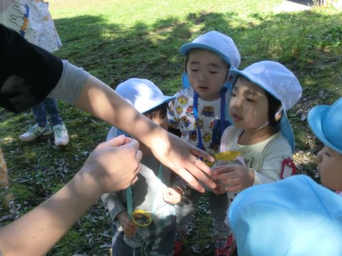 CIMG7815④