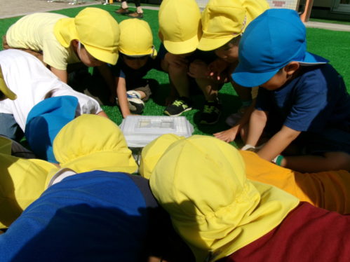 KODAK Digital Still Camera