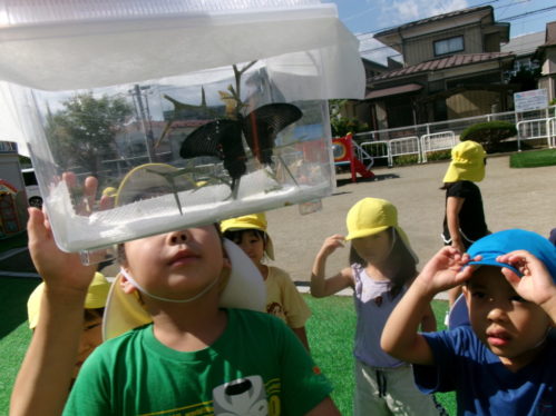 KODAK Digital Still Camera