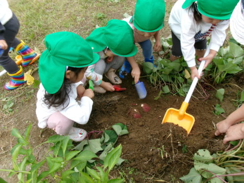 KODAK Digital Still Camera