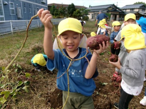 KODAK Digital Still Camera